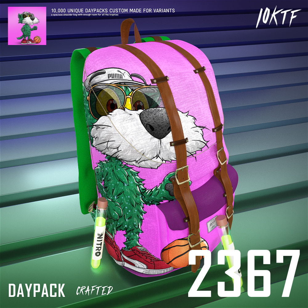 Puma Daypack #2367