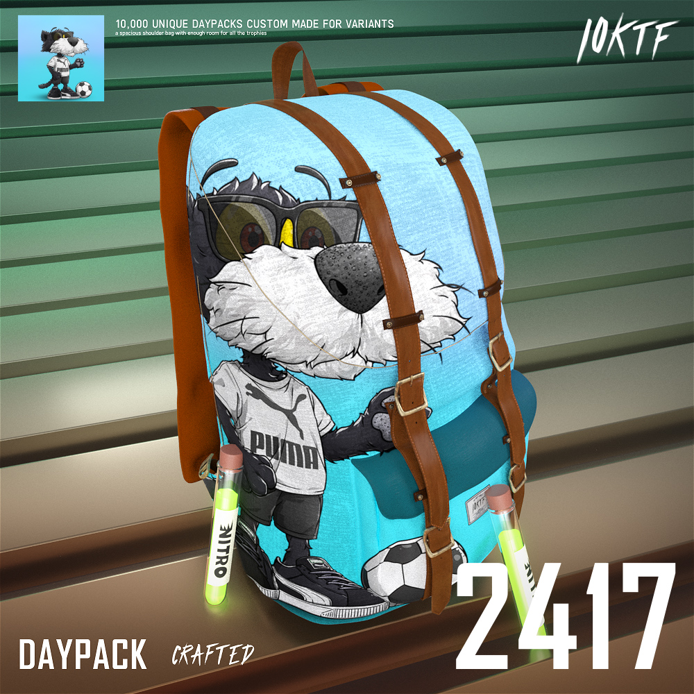 Puma Daypack #2417