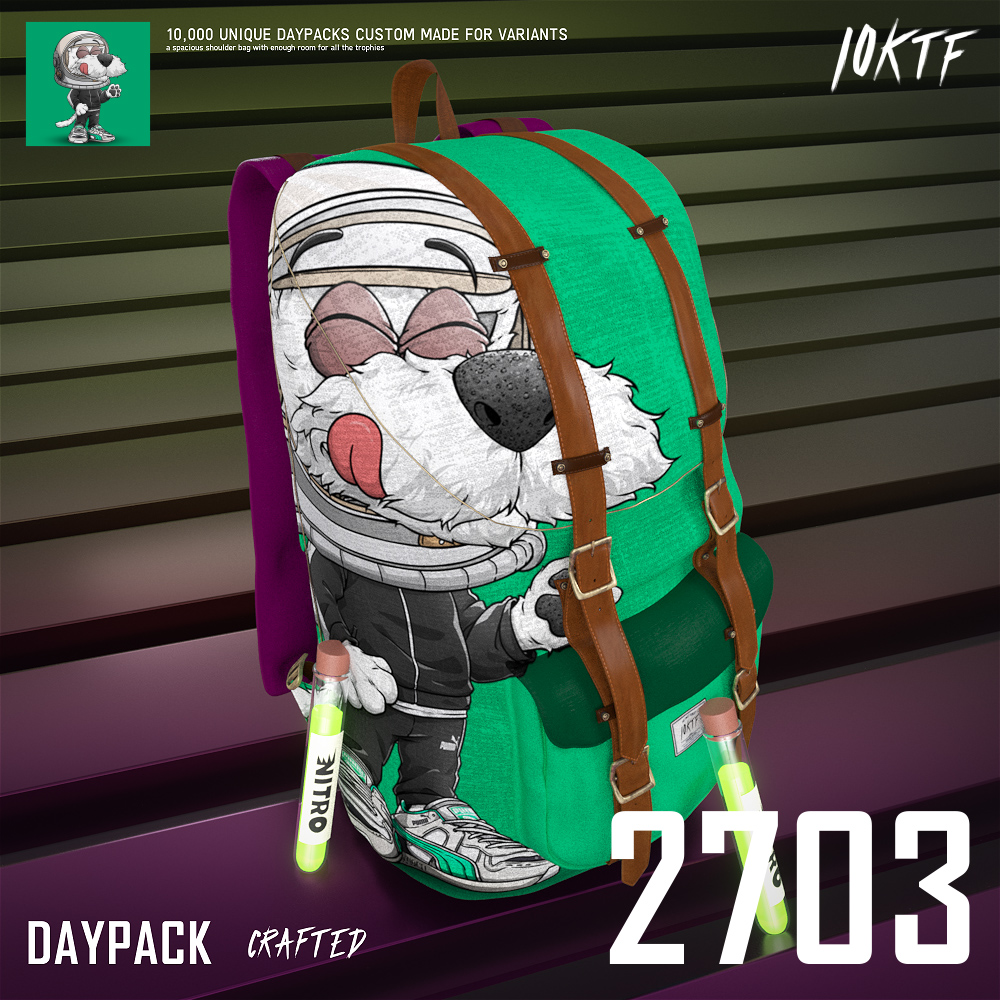 Puma Daypack #2703