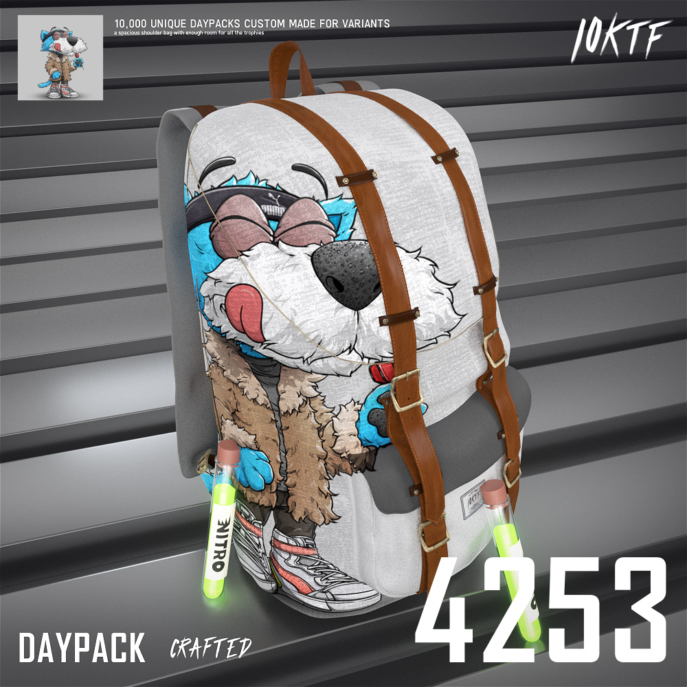 Puma Daypack #4253