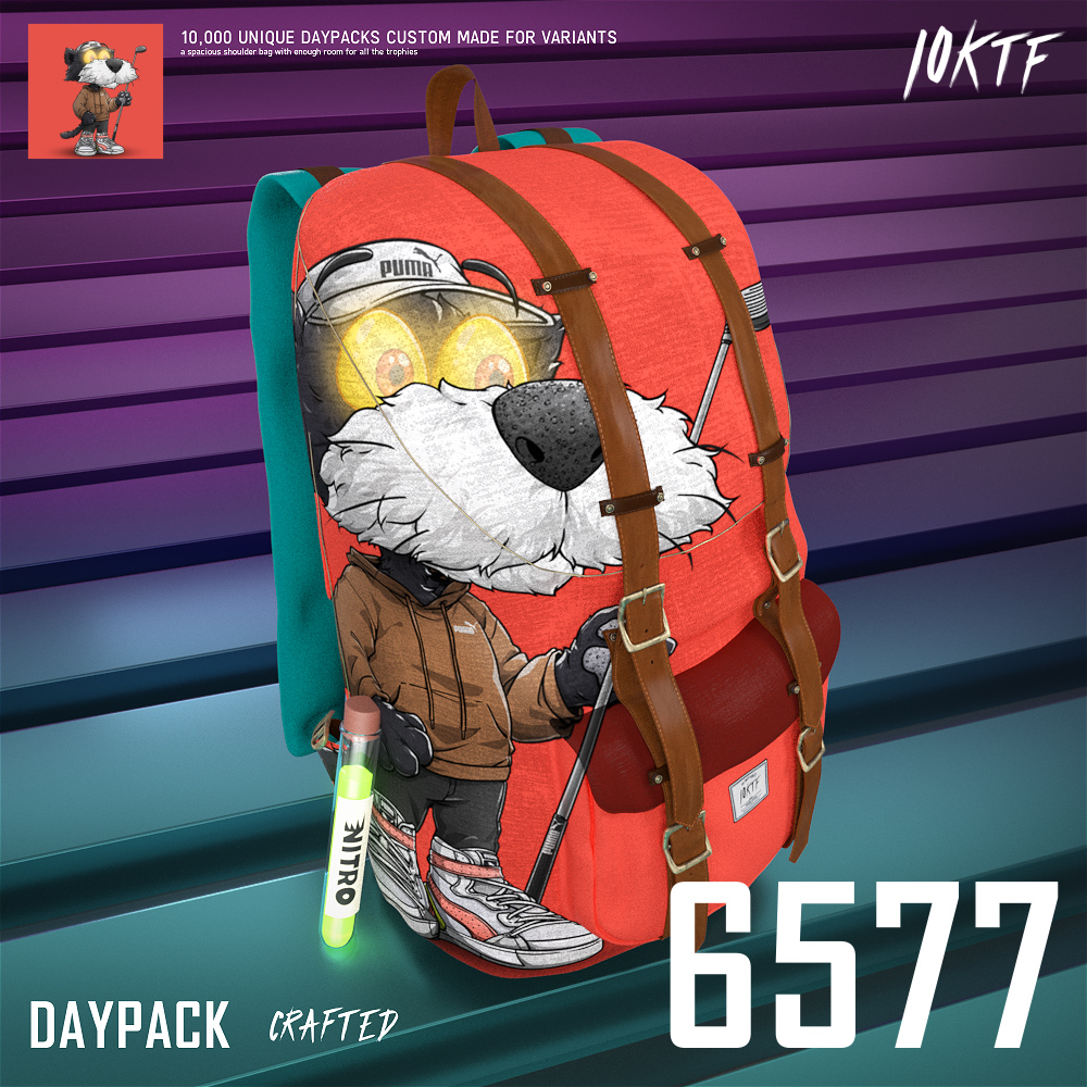 Puma Daypack #6577