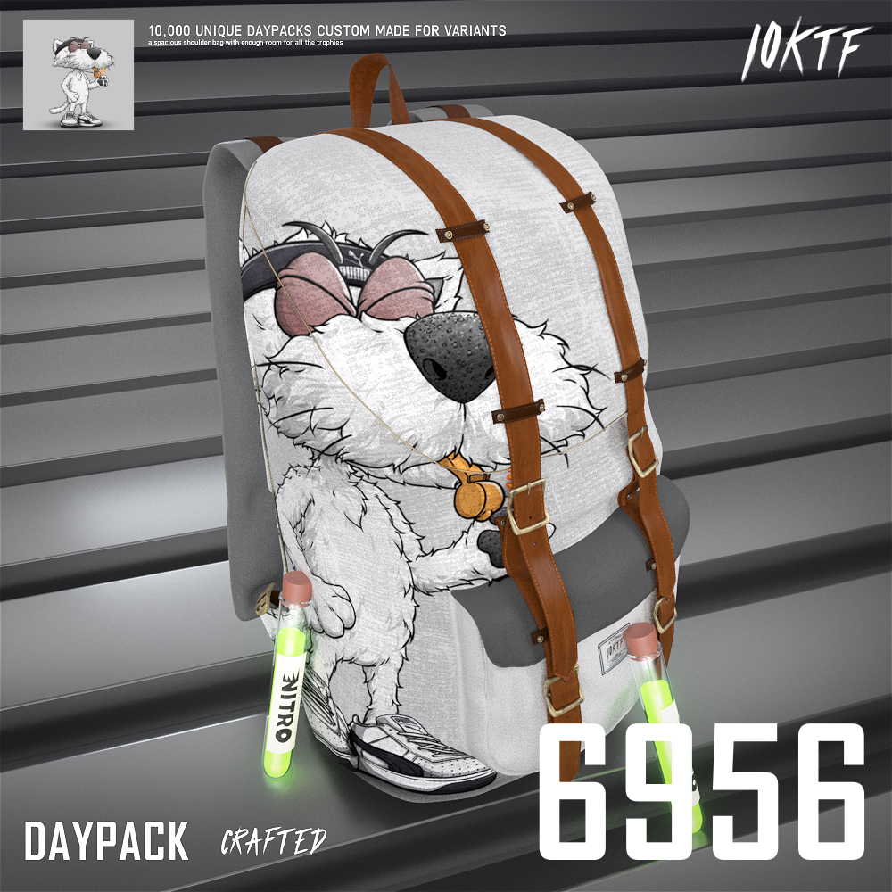 Puma Daypack #6956