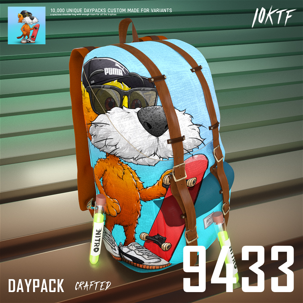 Puma Daypack #9433
