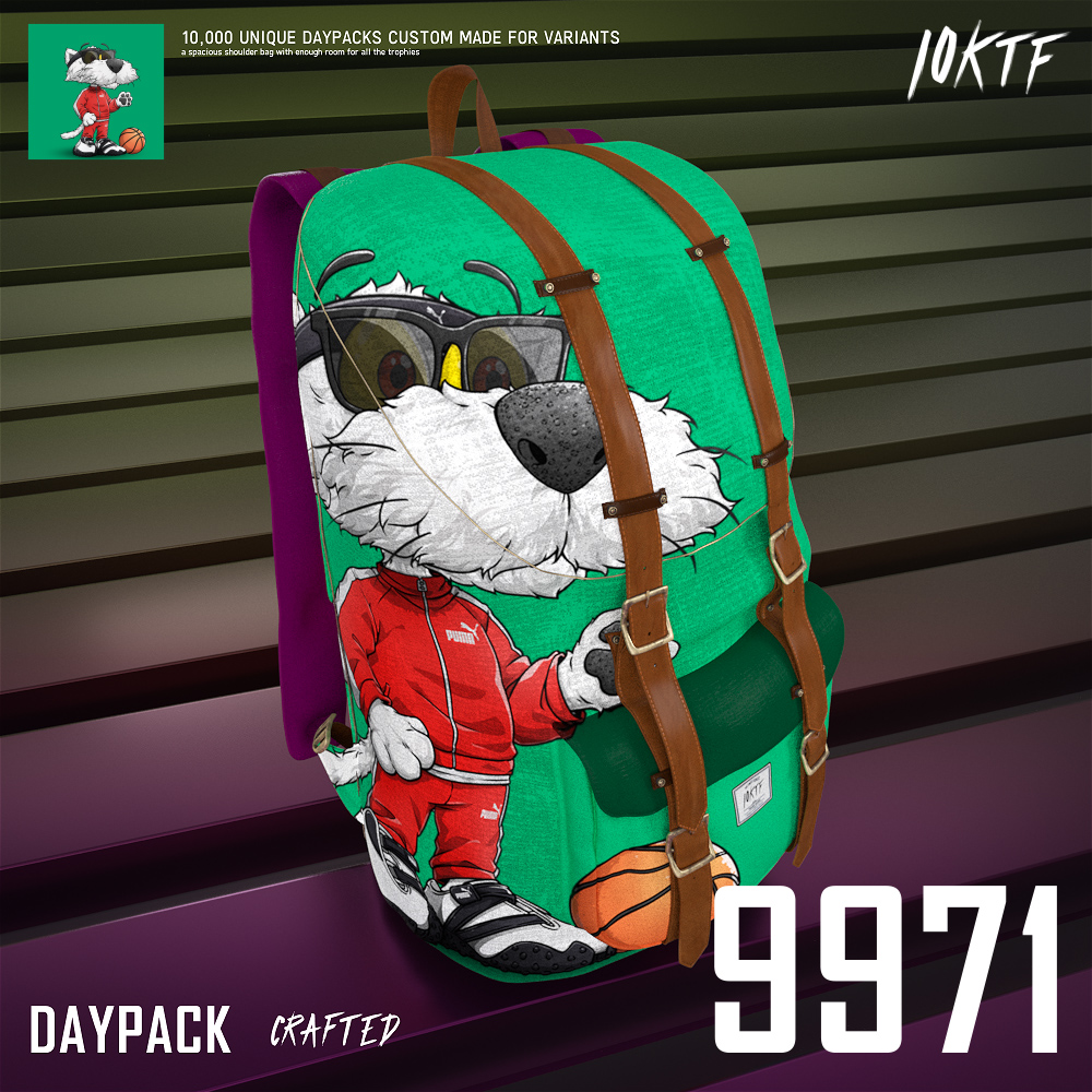 Puma Daypack #9971