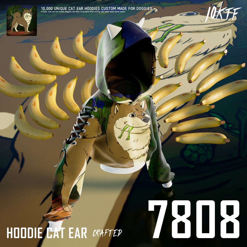 Kennel Cat Ear Hoodie #7808